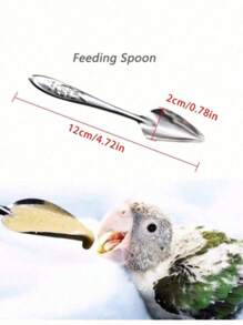 Parrot, Tiger, And Macaw Feeding Spoons Stainless Steel Spoon Parrot Feeding Spoon Feeding Machine Milk Powder Feeding Machine Parrot Feeding Machine Water Feeding Machine Pet Supplies - Multicolor - View 15