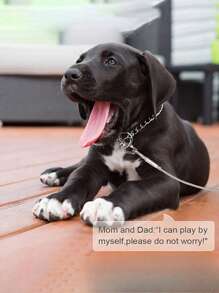 狗绳，重型不锈钢狗绳，双扣，反光乙烯基涂层，坚固的设计，适合体重不超过 250 磅的大型犬，宠物训练和露营绳 - 彩色 - 查看 3