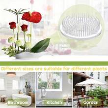 1/2PCS Cốc hút ba nút nhựa trong suốt Kenzan cắm hoa Zen Trung Quốc Nhật Bản Kenzan Obara Ryuike - Nhiều màu - Xem 6