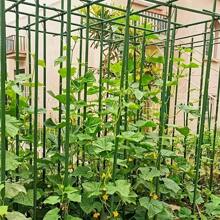 8 pezzi Tubo in plastica e acciaio da 1,1 cm, supporto da giardino per arrampicata delle piante, pergolato di supporto per fiori