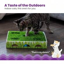 Grass Patch 狩猎盒 猫爱好者和猫妈妈喜爱的玩具 - 綠色 - 查看 2