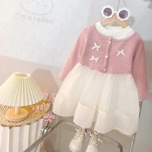 Girls Spring Tulle Dress, Infant/Baby Girl Fashionable Mesh Dress For Spring