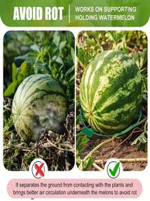 5/10pcs. Plastic Watermelon Support Pallet - Anticorrosion, Sturdy Blue Tray For Garden And Farm Fruit Displays, Perfect For Melons And Large Fruits
