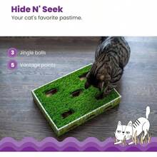 Grass Patch 狩猎盒 猫爱好者和猫妈妈喜爱的玩具 - 綠色 - 查看 4