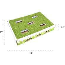 Grass Patch 狩猎盒 猫爱好者和猫妈妈喜爱的玩具 - 綠色 - 查看 8