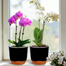 1PC Simple Double Layer Orchid Planter With Removable Liner, Double Layer Perforated Plant Planter, Slouchy Planter, Creative Desktop Centerpiece - Home Decorative Ornament, Outdoor And Garden Decoration, Office Decoration Gifts Birthday Graduation Vase Room Decor Flower Vase Glass Vase
