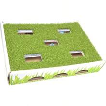 Grass Patch 狩猎盒 猫爱好者和猫妈妈喜爱的玩具 - 綠色 - 查看 1