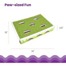 Grass Patch 狩猎盒 猫爱好者和猫妈妈喜爱的玩具 - 綠色 - 查看 5