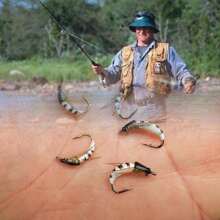 5/10Pcs Fly Fishing Flies Lure Bass Salmon Trout White Moth Nymph Flies Wet Fly Fishing Artificial Feather Bait Fishing Flies 3 Sizes