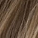 Brown Ombre