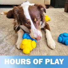 Dog Puzzles For Smart , Interactive, Puzzle Treats, Puppy Puzzle, Toys To Keep Them Busy, Cognitive Dog Games, Toys For Bored , Advanced Puzzles, Boredom Busters (6 Pieces) - 4 miếng - Xem 4