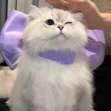 1 件超大可爱猫咪领结，可调节卡通猫咪项圈装饰，时尚宠物配饰适合派对、活动、宠物摄影、猫咪爱好者礼物 - 粉色 - 查看 5