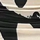 Apricot Black