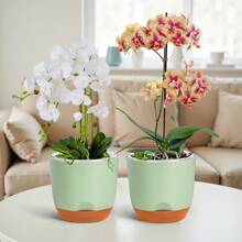1PC Simple Double Layer Orchid Planter With Removable Liner, Double Layer Perforated Plant Planter, Slouchy Planter, Creative Desktop Centerpiece - Home Decorative Ornament, Outdoor And Garden Decoration, Office Decoration Gifts Birthday Graduation Vase Room Decor Flower Vase Glass Vase
