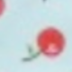 淺藍色