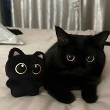 Porte-clés mignon en peluche de chat noir, petit animal en peluche de chat super adorable, chaîne de perles aléatoire, meilleur cadeau pour les filles