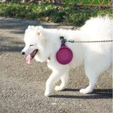Bols pliables en silicone pour chien et chat, bol double pour animaux de compagnie pliable, gamelle d'eau et de nourriture pour chat adaptée pour la marche, la randonnée et le camping