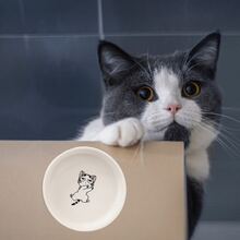 Cute Cat Pattern Ceramic Non-Slip Pet Bowl, Large Capacity Cat/Dog Food & Water Bowl - White - View 5