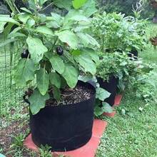 Pack Of 5 Grow Bags/Aeration Fabric Pots With Handles (Available Capacities: 5 Gallon, 15 Gallon, 20 Gallon, 25 Gallon,30 Gallon)