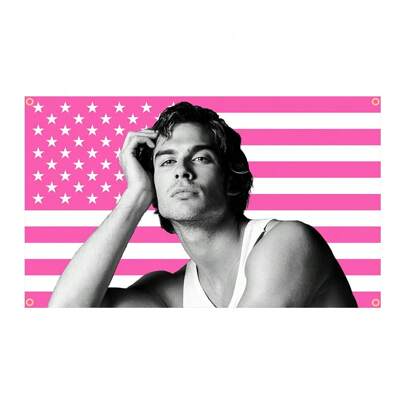 Ian Somerhalder, cartellone dei vampiri americani rosa, Damon Salvatore, arazzo, meme divertente, decorazione da parete, decorazione per la casa, bandiere per camera, striscioni per camera, rifugio maschile, opera d'arte musicale moderna, striscione regalo