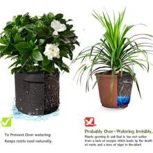 Pack Of 5 Grow Bags/Aeration Fabric Pots With Handles (Available Capacities: 5 Gallon, 15 Gallon, 20 Gallon, 25 Gallon,30 Gallon)