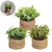 Green Artificial Plants Eucalyptus Grass Woven Small Potted Plants Grass Mound 11cm PE Material Home Decoration
