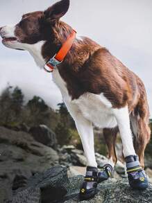 Dog Shoes Suitable For Large Dogs, Medium Size Dog Boots And Paw Protectors, Suitable For Snowy Winter, Hot Summer Pavements, Rainy Days, Outdoor Walking, And Indoor Hardwood Floor Anti-Slip Soles