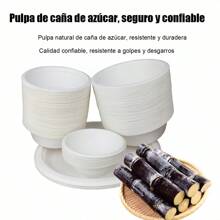 Tazones Desechables de Papel de 500 ml Biodegradables y Ecológicos de Pulpa de Caña de Azúcar | Resistencia Superior al Calor, Frío, Agua y Aceite | Aptos para Microondas y Refrigerador | Paquete de 10 Unidades, Diseño Duradero y Seguro con Base Antideslizante | Perfectos para Servir Sopas, Postres, Frutas y Comidas Variadas | Material Natural, Higiénico y Saludable, Sin Tóxicos | Tamaño Grande de 15.5 cm de Diámetro y 7 cm de Altura | Uso Versátil para Hogar, Oficinas, Catering y Comidas para Mascotas | Alternativa Práctica a los Plásticos, Limpios y Fáciles de Usar | Calidad Garantizada para una Experiencia Confiable y Cómoda en Cualquier Escenario. - Blanco 1 paquete de 10 - Ver 6