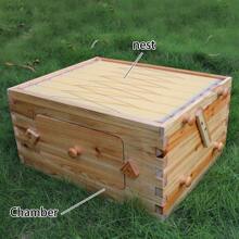 7PCS Auto Flowing Beehive Honey Hive Frame+ Cedarwood Beekeeping Brood Box - 棕色 - 查看 10