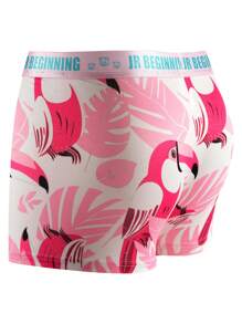 Men 5pcs Tropical & Flamingo Print Letter Tape Waist Boxers - Multicolor - View 2