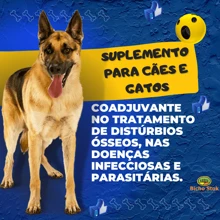 Suplenate Vitamina e Mineral para Cachorro Cães