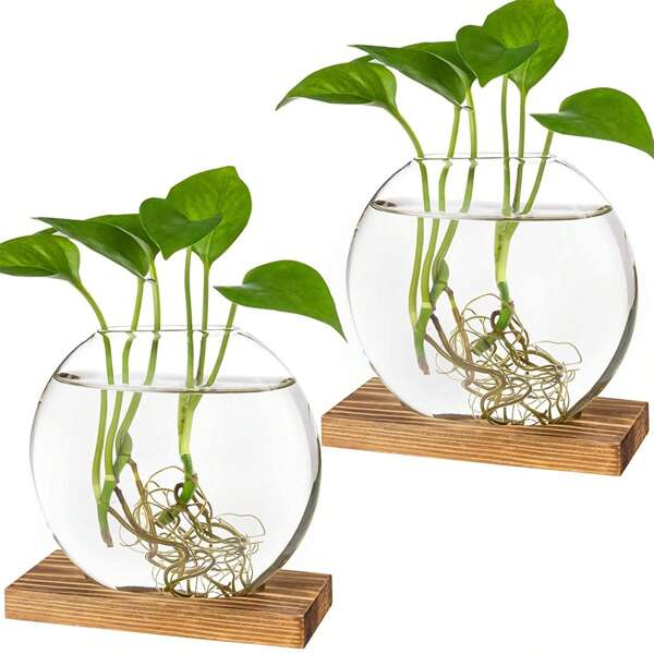 2 paquetes de terrarios de escritorio redondos de vidrio con soporte de madera para la propagación de plantas hidropónicas pequeñas, decoración para el hogar y la oficina, color marrón