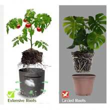 Pack Of 5 Grow Bags/Aeration Fabric Pots With Handles (Available Capacities: 5 Gallon, 15 Gallon, 20 Gallon, 25 Gallon,30 Gallon)