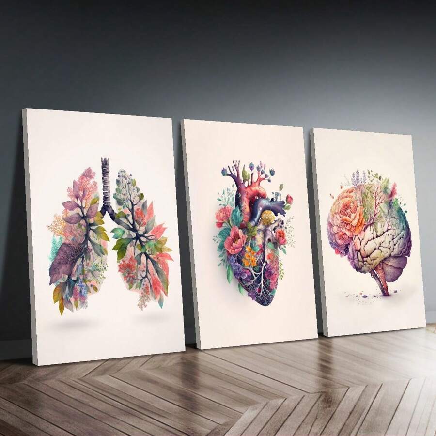 3 件现代艺术帆布墙饰套装 - 带花卉装饰的解剖心脏、大脑和肺，帆布水彩画，适用于客厅、卧室、家庭办公室 - 帆布画（带框）礼物生日毕业 - 多色 - 查看 1