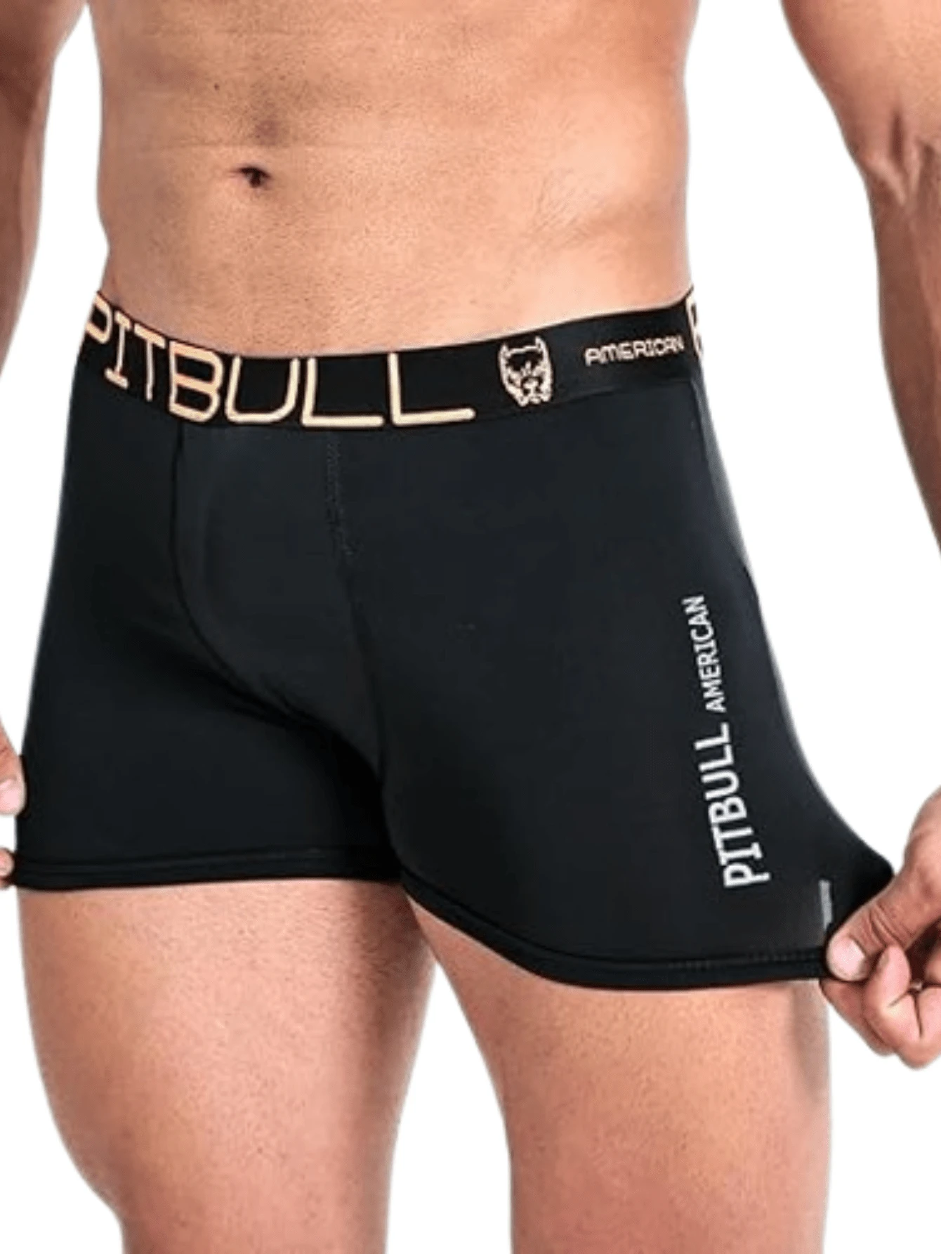 Pitbull American Kit With 10 Microfiber Men's Boxer Briefs Adult Men's Boxer Briefs Underwear PITBULL - 黑色 - 查看 1