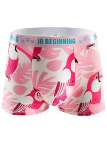 Men 5pcs Tropical & Flamingo Print Letter Tape Waist Boxers - Multicolor - View 6