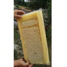 7 marcos de colmena de plástico para cajas de apicultura - Amarillo - Ver 2