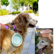 Bols pliables en silicone pour chien et chat, bol double pour animaux de compagnie pliable, gamelle d'eau et de nourriture pour chat adaptée pour la marche, la randonnée et le camping