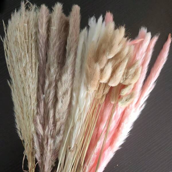 17-Inch Fluffy Pampas Grass Bouquet - Dried Exaggerated Bunny Tail, Suitable For Boho Style Home, Farmhouse And Wedding Decor | Safe And