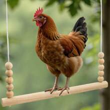 Chicken Perches, Perfect For Backyard Poultry, Chicken Perches , Easy To Assemble And Clean, Farm Chicken Toys Chicken Swing Toy, Wooden Perch Stand For , Large Perch Ladder For Poultry, Chickens, Parrots, Pet Entertainment Toy Chicken Perch Toy With Hanging Beads & Rope - Natural Wood Design For Backyard Poultry