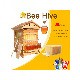 Màu gỗ nguyên bản