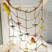 Parrot Climbing Net, Colored Star Rope Parrot Climbing Net And Parrot Chewing Toy, Parrot Hanging Playground, Suitable For Squirrels And Sugar Gliders Bird Cage Accessories Bird Toys