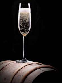 1 Stück Champagner Gläser, entworfen und hergestellt in Europa, durchsichtiger Rand, 7 fl. oz., 100% bleifrei, kristallklares Glas | perfekt für besondere Anlässe | Geschenkidee Valentinstag, Kerzenschein-Dinner Champagner Gläser