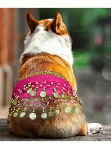 石猫 - 1 件狗狗闪亮肚皮舞服装，配腰带、涤纶尾帘、宠物舞蹈、宠物装扮、狗狗礼物、节日气氛、非常有趣。 - 金色 - 查看 4