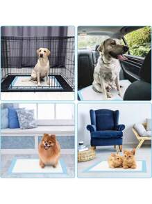 5/10/50pcs High Absorbency Disposable Pet Pads, Waterproof Puppy Training Pads, Pee Pads For Dogs & Cats, Quick-Drying Surface, Comfortable Fit For Toilet Training, Suitable For All Dog Breeds