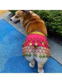 石猫 - 1 件狗狗闪亮肚皮舞服装，配腰带、涤纶尾帘、宠物舞蹈、宠物装扮、狗狗礼物、节日气氛、非常有趣。 - 金色 - 查看 9