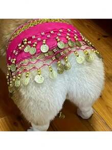 石猫 - 1 件狗狗闪亮肚皮舞服装，配腰带、涤纶尾帘、宠物舞蹈、宠物装扮、狗狗礼物、节日气氛、非常有趣。 - 金色 - 查看 3