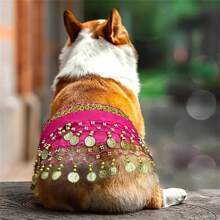 1 peça de fantasia de dança do ventre brilhante para cachorro com cinto, cortina de cauda de poliéster, dança para animais de estimação, fantasia para animais de estimação, presente para cães, atmosfera festiva, muito divertido.