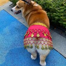 1 peça de fantasia de dança do ventre brilhante para cachorro com cinto, cortina de cauda de poliéster, dança para animais de estimação, fantasia para animais de estimação, presente para cães, atmosfera festiva, muito divertido.