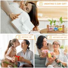 创意木质框架水培小花瓶植物玻璃瓶容器家居客厅办公室桌面摆件 - Love Bulb Vase - 查看 7